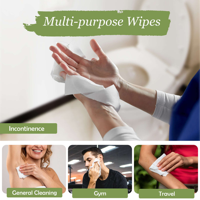 Wet Wipes for Adults - Case of 10 and 50 Individual 12"x8" Disposable Wipes