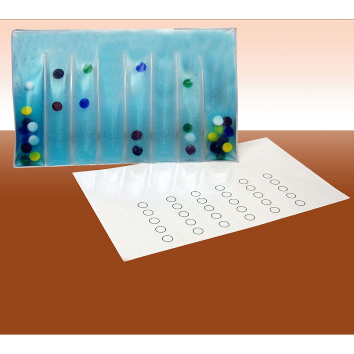 Number-Color Association Pad and Laminated Activity Sheets