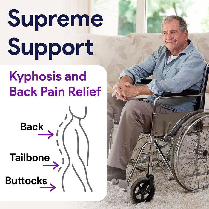 Proven Benefits of Using Lumbar Support Back Cushions – Everlasting Comfort