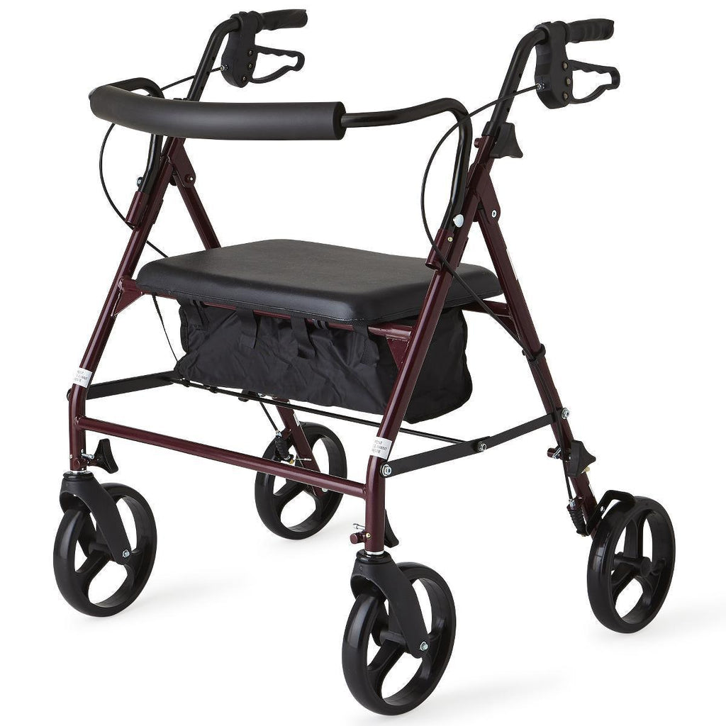 https://prohealproducts.com/cdn/shop/files/bariatric-rollator-heavy-duty-steel-proheal-products-1_1024x1024.jpg?v=1689335023