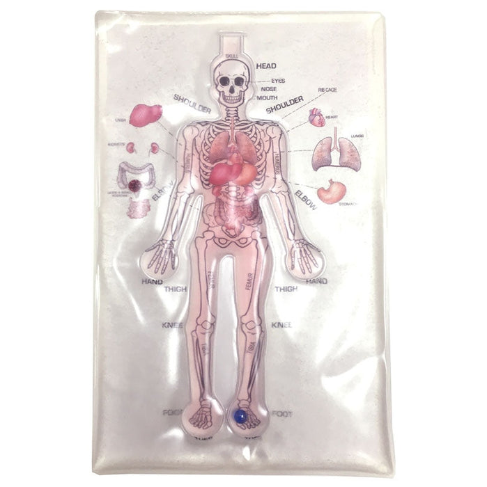 Human Anatomy Gel Maze Pad