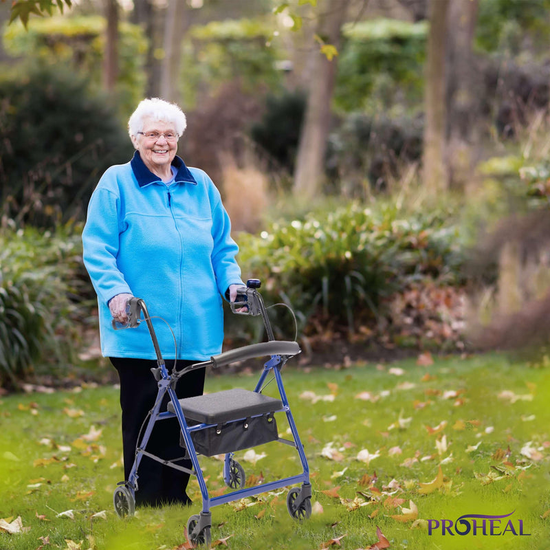 Steel Rollator Knock Down - ProHeal-Products